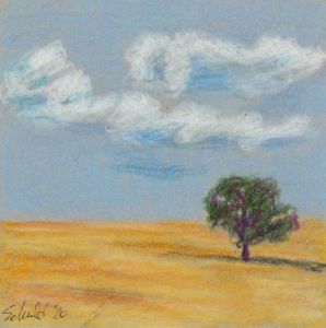 coloured drawing by Marsha Schuld of a golden prairie field with a tree in the background with a blue clouded sky