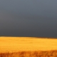 stormy sky over a prairie field. To the right and in the forefront is a road sign that reads "Wrong Way"