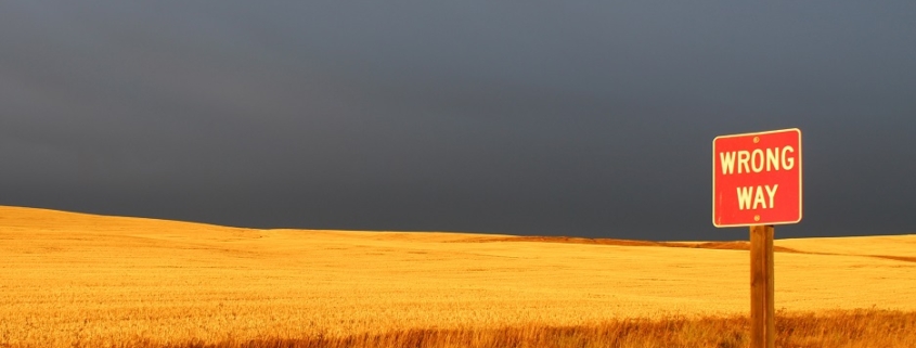 stormy sky over a prairie field. To the right and in the forefront is a road sign that reads "Wrong Way"