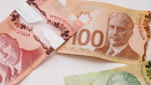 Canadian paper dollar bills - $50, $100, $20
