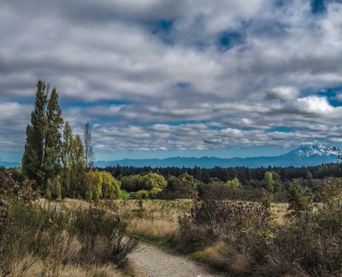 prairie landscape with living blue skies filled with clouds