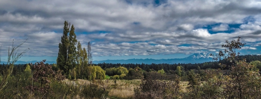 prairie landscape with living blue skies filled with clouds