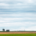 large blue prairie sky with yellow land with a small house in the background.