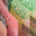 Canadian Paper Money splayed out from $50 to $20 dollars