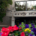 Image of the entrance of Saskatoon's City Hall with colourful flowers in the foreground.