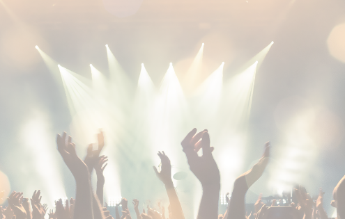 A crowd of concert goers with their arms in the air. In front of a brightly lit stage - too bright to see what is on the stage